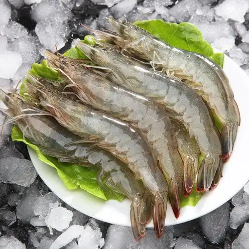 曲阜冯记水产 - 主营活海鲜,虾类,鱼类,贝类,冻货等
